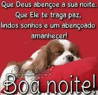 Mensagem De Boa Noite Feliz Para Whatsapp