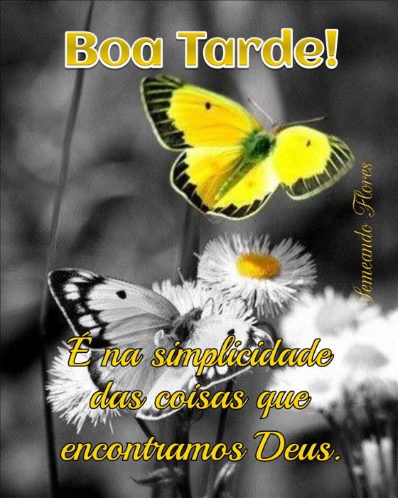 Mensagem De Boa Tarde Para Amigos E Amigas