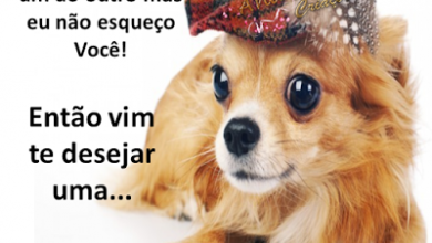 Mensagem De Boa Tarde Para O Facebook