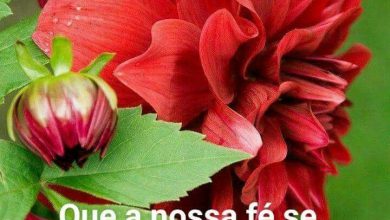 Mensagem De Boa Tarde Para Uma Pessoa Especial Para Facebook