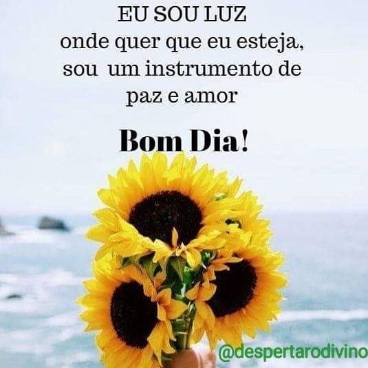Mensagem De Bom Dia A Amigos Para Whatsapp