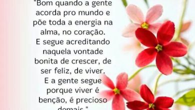 Mensagem De Bom Dia E Fe Para Whatsapp