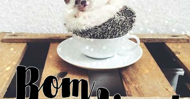 Mensagem De Bom Dia Frases Imagez Mensagem De Bom Dia Frases Imagez