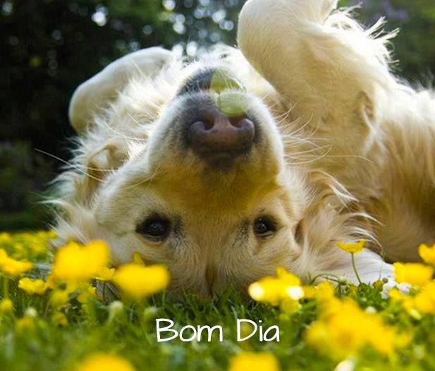 Mensagem De Bom Dia Para O Amigo Para Facebook