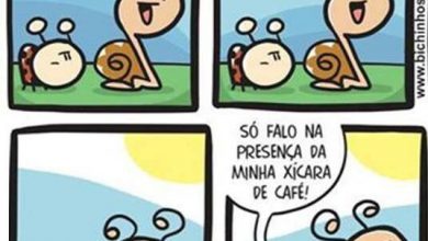 Mensagem De Bom Dia Para Pessoa Querida