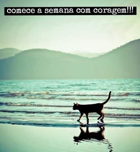Mensagem De Semana Abençoada Para Facebook