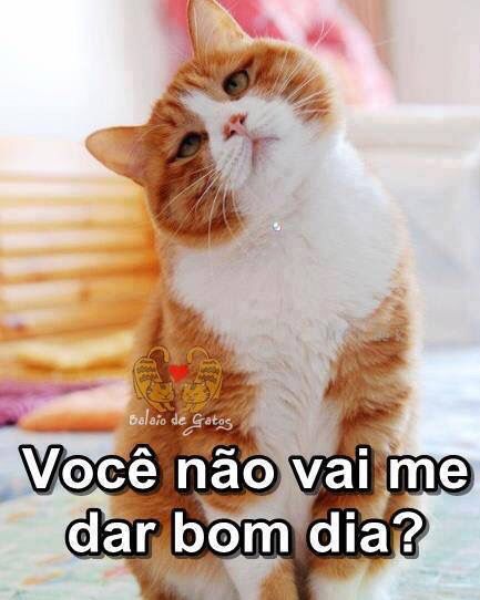 Mensagem De Um Bom Dia Para Whatsapp