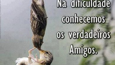 Mensagem Do Amigo Para Facebook