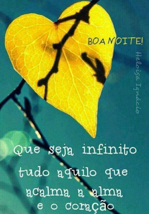 Mensagem Especial De Boa Noite Para Namorada