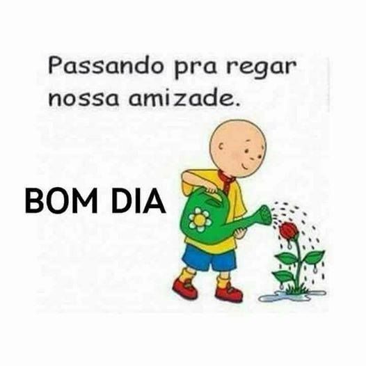 Mensagem Feliz Bom Dia Para Facebook