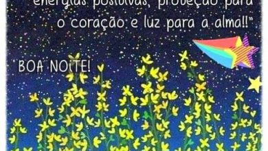 Mensagem Feliz De Boa Noite Para Whatsapp