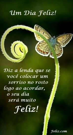 Mensagem Linda De Um Bom Dia Para Whatsapp