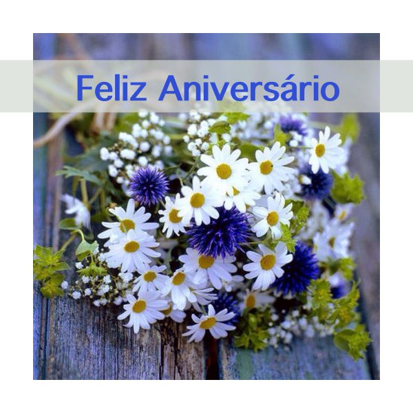 Mensagem Parabéns Feliz Aniversário