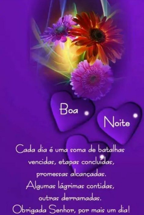 Mensagem Se Boa Noite Para Namorada