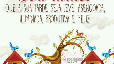 Mensagen De Boa Tarde Amor