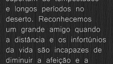 Mensagens De Amizade Para Amiga Para Facebook