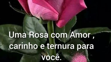 Mensagens Lindas De Boa Noite Amor