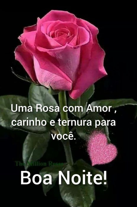 Mensagens Lindas De Boa Noite Amor