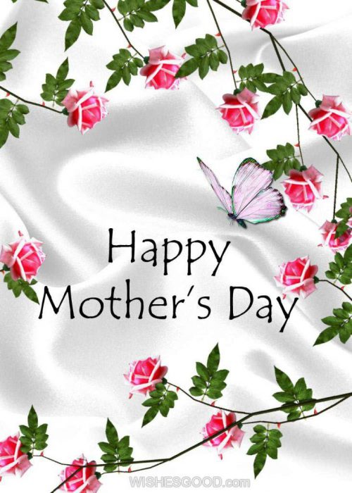 Mother Day Card Greeting Messages - Mother Day Card Greeting Messages