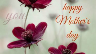 Mothers Day Quotes And Messages