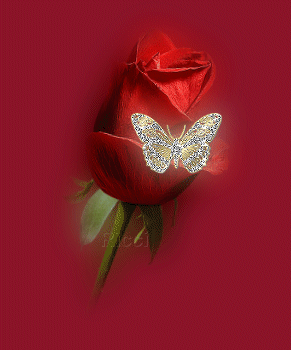 Mothers Day Thoughts And Wishes Animated Gif