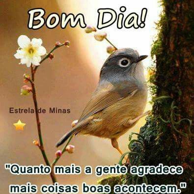 Msgs De Bom Dia Para Namorada Para Facebook