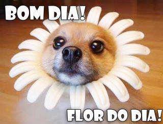 Msgs De Bom Dia Para Namorada Para Whatsapp