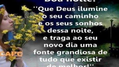 Noite Linda Frases