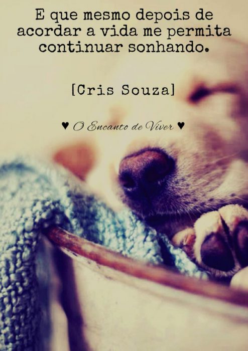Novas Frases De Bom Dia Para Facebook