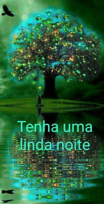 Novas Mensagem De Boa Noite Para Whatsapp