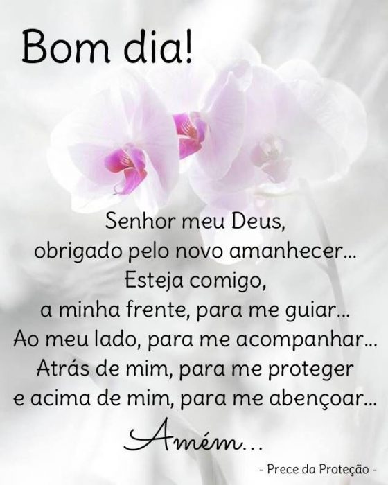 O Melhor Bom Dia De Todos Para Whatsapp