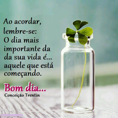 Palavras Bonitas De Bom Dia Para Facebook