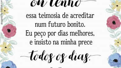 Pensamentos De Bom Dia