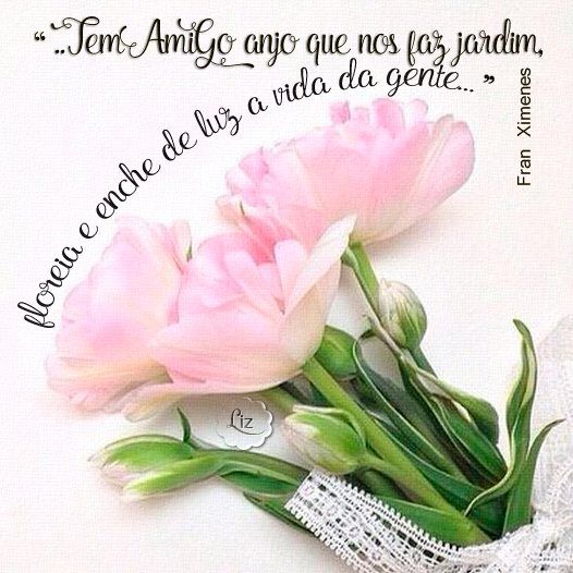 Pequenas Frases Bonitas De Amizade Para Whatsapp