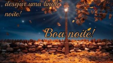 Pequenas Frases De Boa Noite Para Whatsapp