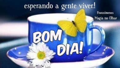 Pesquisar Bom Dia Para Whatsapp