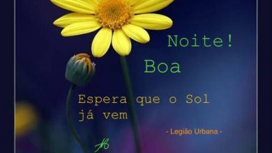 Poemas De Boa Noite