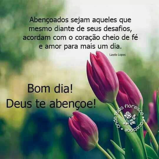 Quero Uma Mensagem Bem Bonita De Bom Dia Para Whatsapp