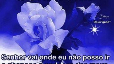 Recado De Boa Noite Com Carinho Para Whatsapp