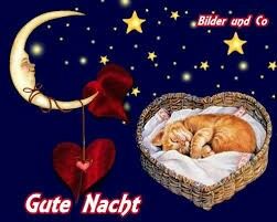 Romantische Gute Nacht Sprüche