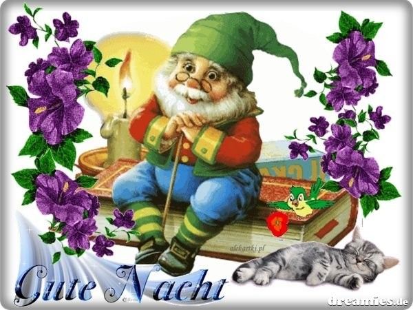 Schöne Gute Nacht Sms