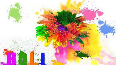 Significance Of Holi Colors