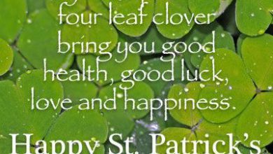 St Paddys Day Quotes