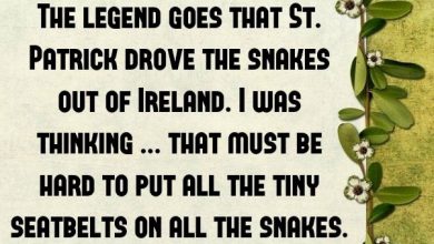 St Patricks Day Quotations