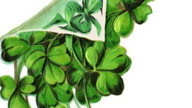 St Patricks Day Sayings And Blessings