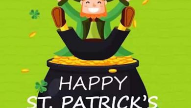 St Patty Quotes Funny