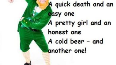 St Pattys Day Funny Sayings 390x220 - St Patty’s Day Funny Sayings