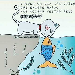 Status Para Amizade