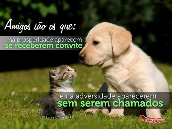 Uma Frase Muito Linda De Amizade Para Whatsapp