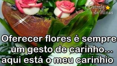 Uma Linda Frase De Boa Tarde